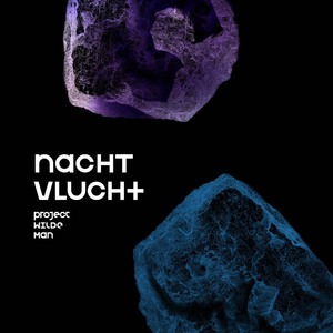 Vlucht