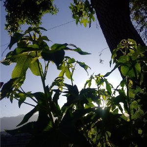 Prefiero el Peso de tu Cruz