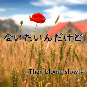 会いたいんだけど