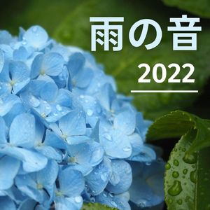 六月のリラックス