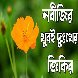 নবীজির খুবই দুঃখের জিকির। বাংলা জিকির
