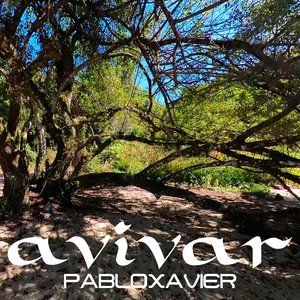 Avivar