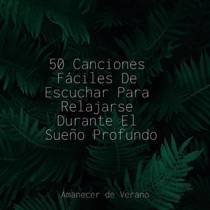 Girando Brizas Balancean