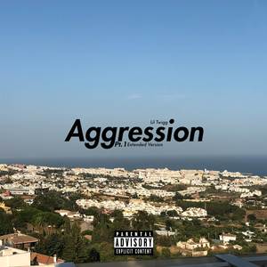 Aggression (Remix)