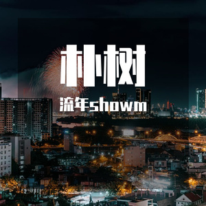 朴树-平凡之路（remix )（流年showm remix）