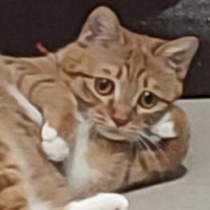 200002_2022-03-22_202513