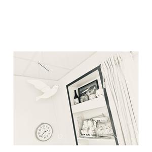 如果不是因为你