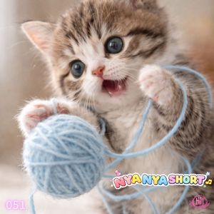 NYA NYA SHORT051