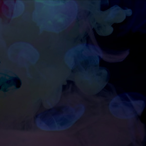 月と麻酔だけ (feat. 重音テト, 二度音ウト & VOICEVOX: ナースロボ＿タイプT)