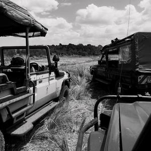 不务正业的孩子