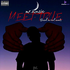 MEET-TRUE (Based on real events)