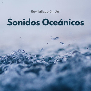 Serenidad Frente A La Playa