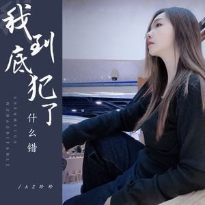 我到底犯了什么错 (DJ彭锐版)