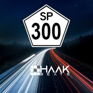 Sp 300