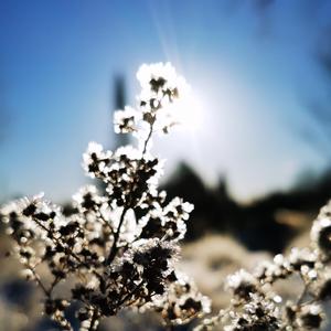 Mon Phare et Ma Rive