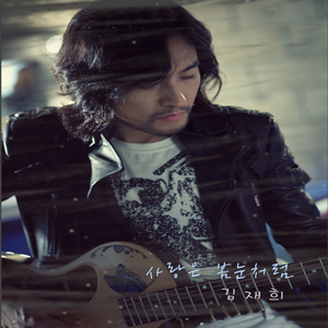 사랑은 봄눈처럼 (New)