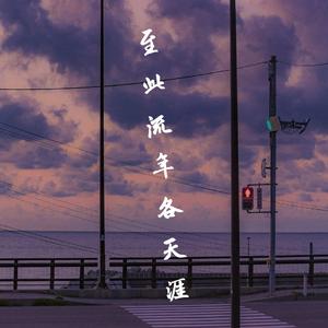 至此流年各天涯