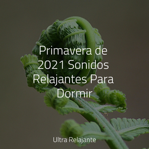 En La Distancia