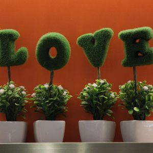 为你写的第一首歌