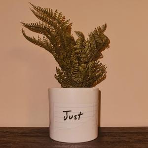 Just