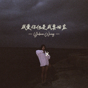 我爱你但是我要回家