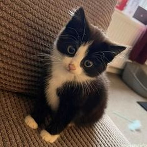 WHAT'S POPPIN (slowed)