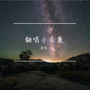 月亮鲸鱼（cover 房东的猫）