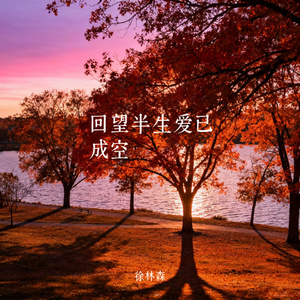 回望半生爱已成空
