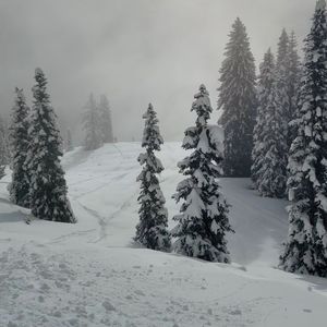 双影同踪(Side By Side)