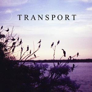 The Feeling of Having