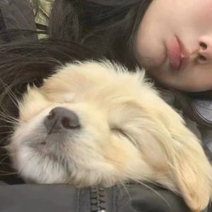 最听话的小狗（prod.by Morrow）