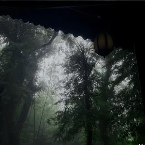 你低头欲说还休 我等你开口