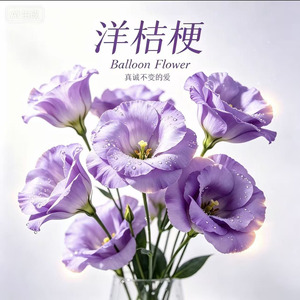 洋桔梗