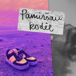 Pamiršau kodėl