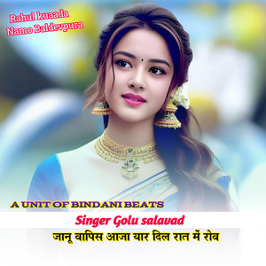 Jaanu Vaapis Aaja Yarr Dil Raat Me Rov