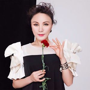 爱的承诺-林萍,毛宁