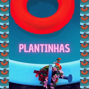 Plantinhas