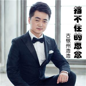 挡不住的思念（二胡版）