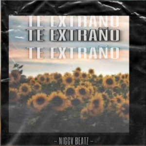 Te Extraño Instrumental De Reguetoon