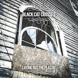 You Only Tell Me You Love Me When You're Wrong