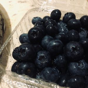 永远爱你和那至死不渝的浪漫