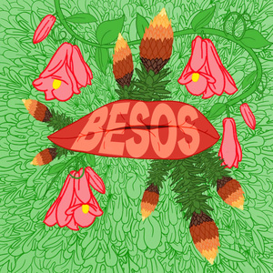 BESOS