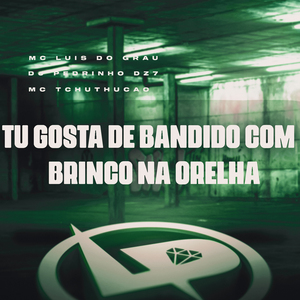 Tu Gosta de Bandido Com Brinco na Orelha