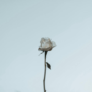 此时此刻你就是我唯一的永恒爱人