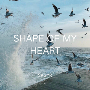 Sting-Shape Of My Heart（SKGYR remix）