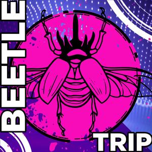 Bald Beetle Trip #1212
