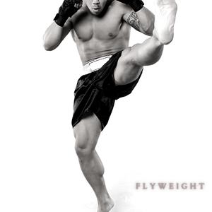 Flyweight