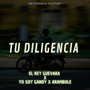 Tu Diligencia