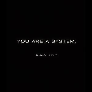 You are a System