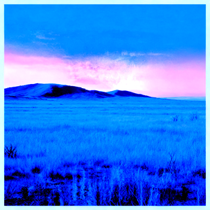 acid dream